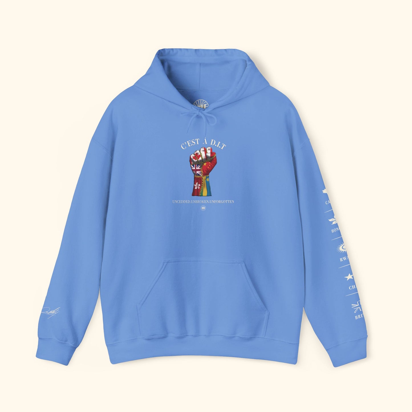 C’est à D.I.T: The Stitched Resistance Heavy Blend™ Hooded Sweatshirt