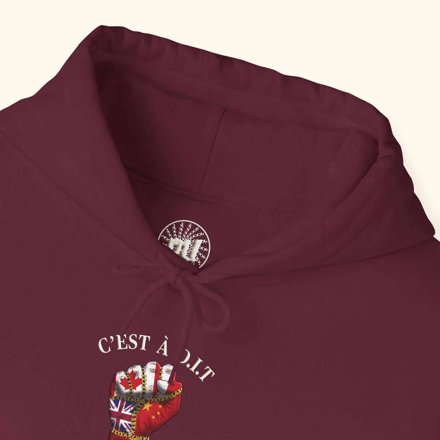 C’est à D.I.T: The Stitched Resistance Heavy Blend™ Hooded Sweatshirt