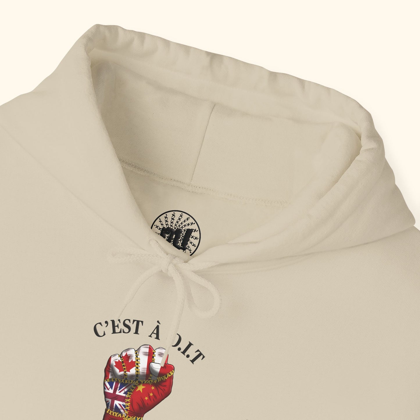 C’est à D.I.T: The Stitched Resistance Heavy Blend™ Hooded Sweatshirt