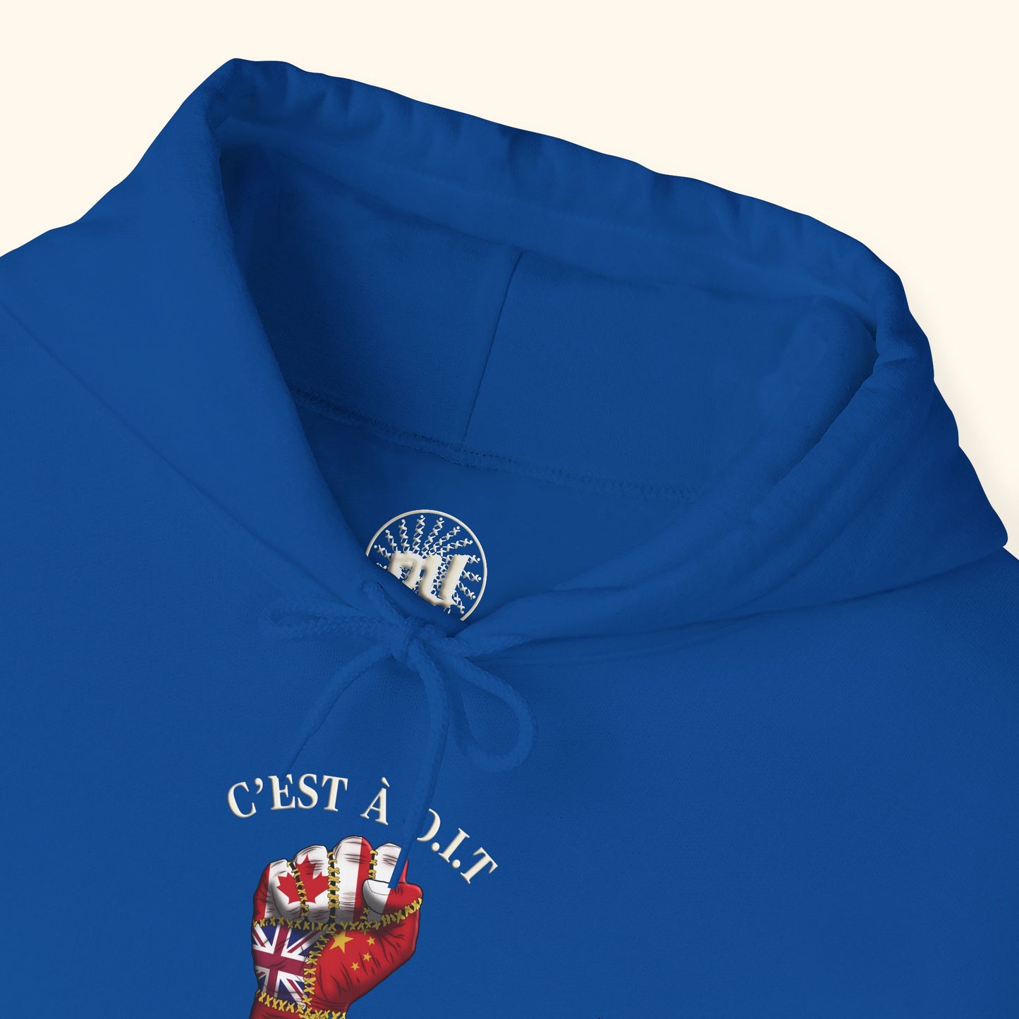 C’est à D.I.T: The Stitched Resistance Heavy Blend™ Hooded Sweatshirt