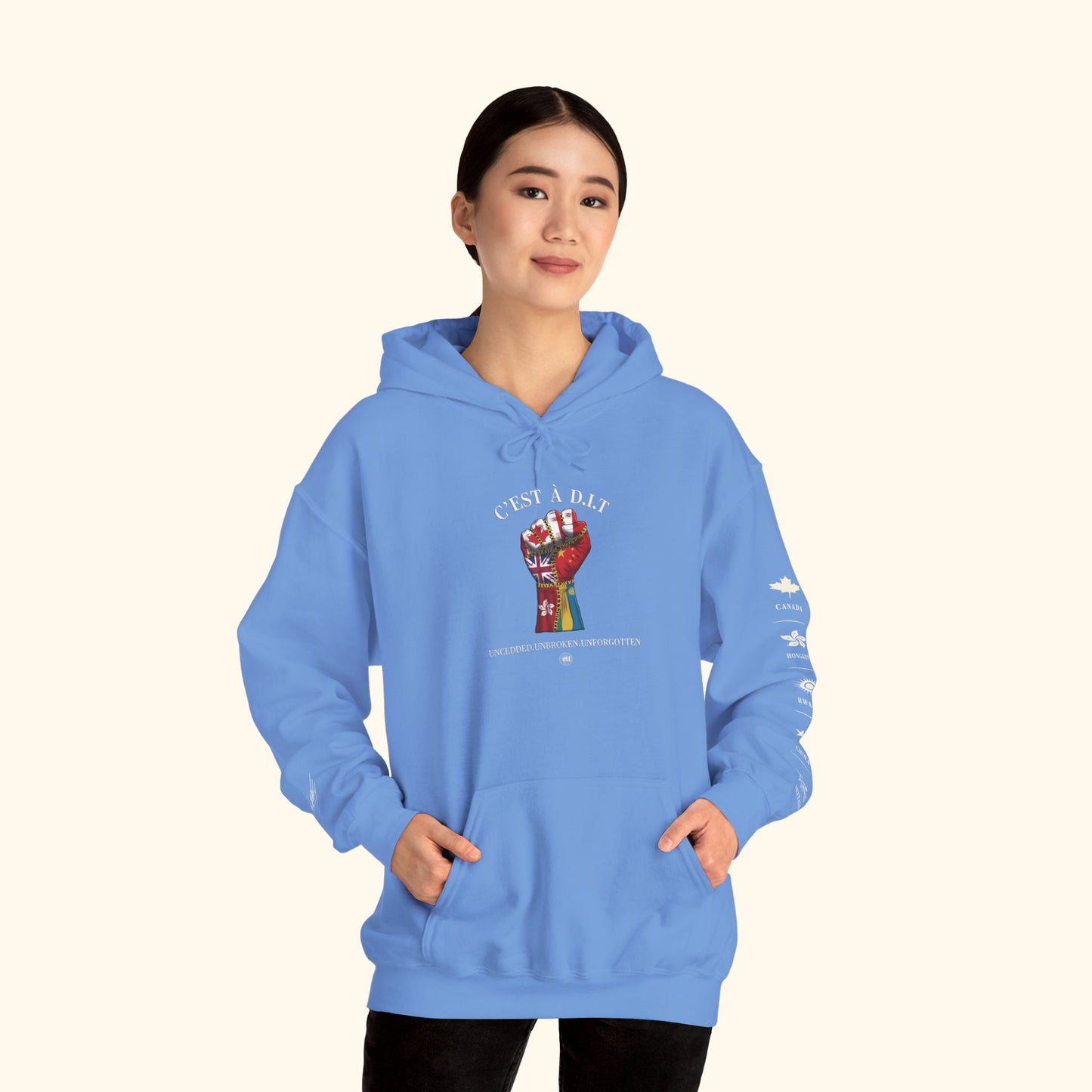 C’est à D.I.T: The Stitched Resistance Heavy Blend™ Hooded Sweatshirt