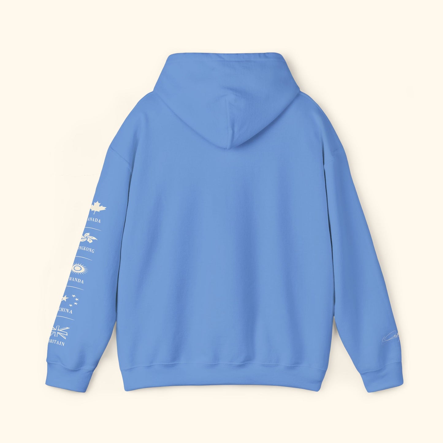 C’est à D.I.T: The Stitched Resistance Heavy Blend™ Hooded Sweatshirt
