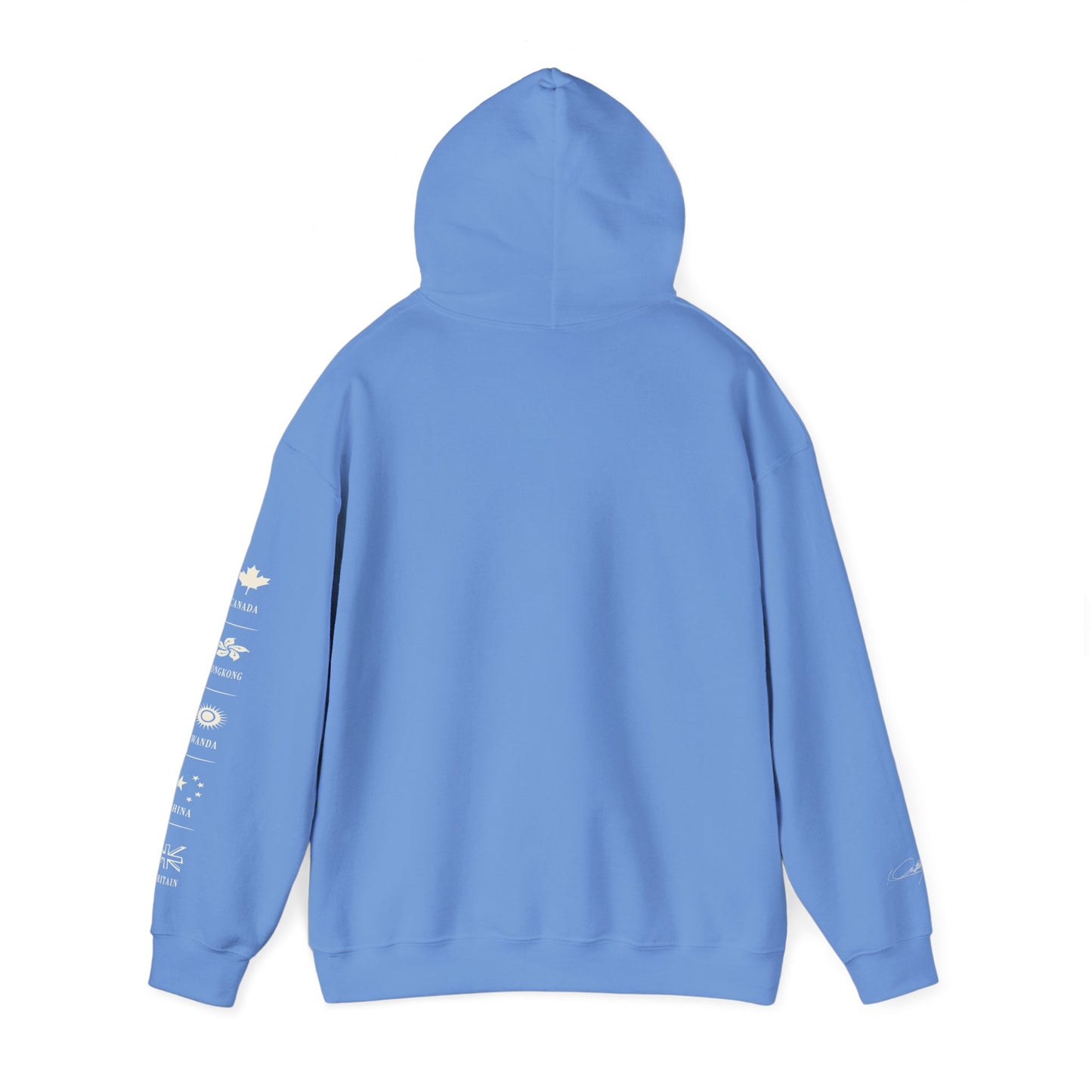 C’est à D.I.T: The Stitched Resistance Heavy Blend™ Hooded Sweatshirt