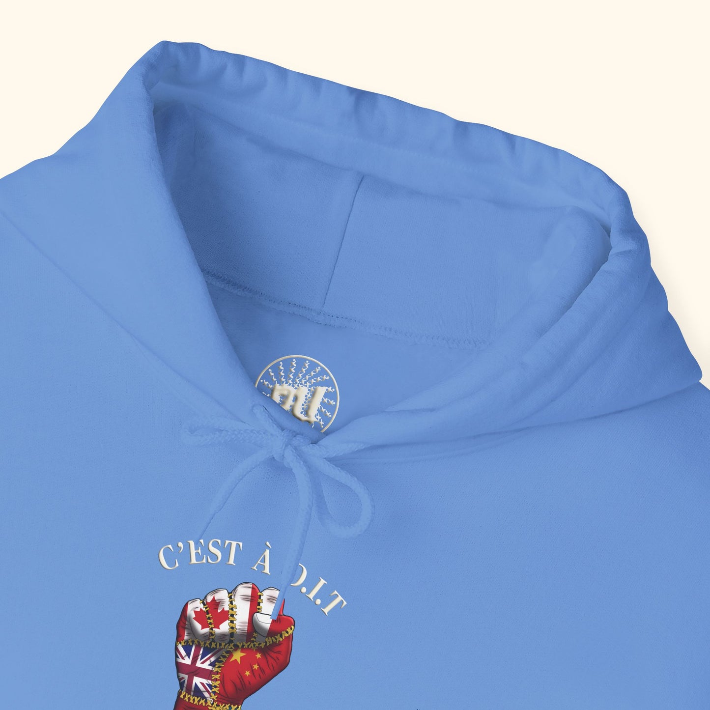 C’est à D.I.T: The Stitched Resistance Heavy Blend™ Hooded Sweatshirt