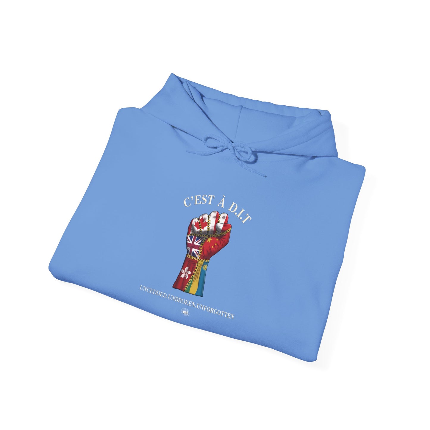 C’est à D.I.T: The Stitched Resistance Heavy Blend™ Hooded Sweatshirt