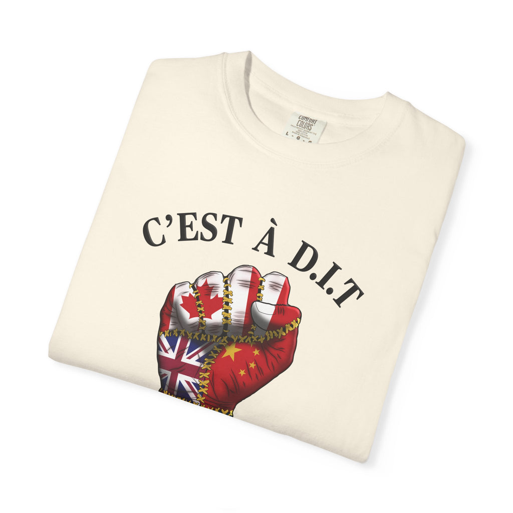 Canada, UK, China, Hong Kong, and Rwanda — clenched in unity C’est à D.I.T: The Stiched Resistance