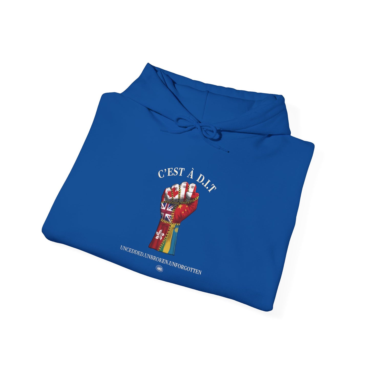 C’est à D.I.T: The Stitched Resistance Heavy Blend™ Hooded Sweatshirt