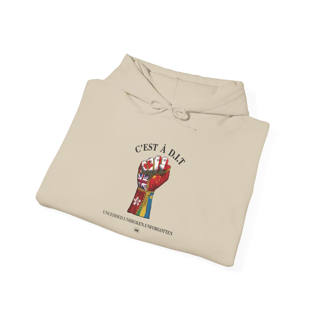 C’est à D.I.T: The Stitched Resistance Heavy Blend™ Hooded Sweatshirt
