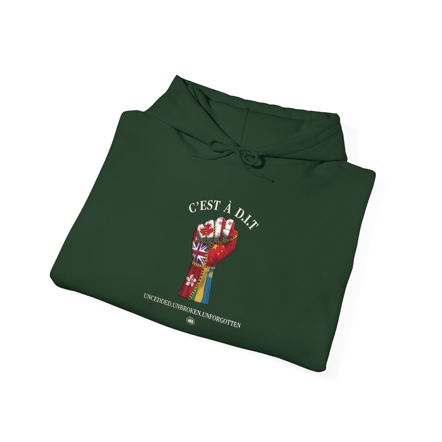 C’est à D.I.T: The Stitched Resistance Heavy Blend™ Hooded Sweatshirt