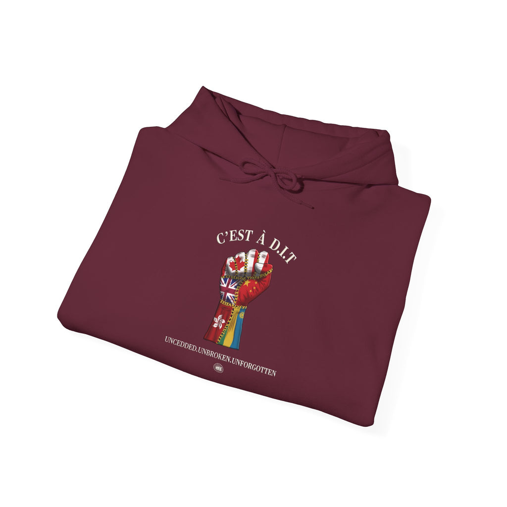C’est à D.I.T: The Stitched Resistance Heavy Blend™ Hooded Sweatshirt