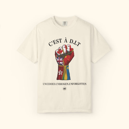 C’est à D.I.T: The Stiched Resistance