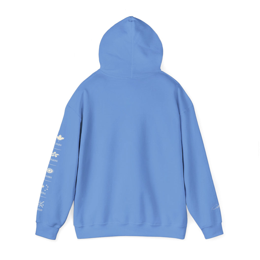 C’est à D.I.T: The Stitched Resistance Heavy Blend™ Hooded Sweatshirt